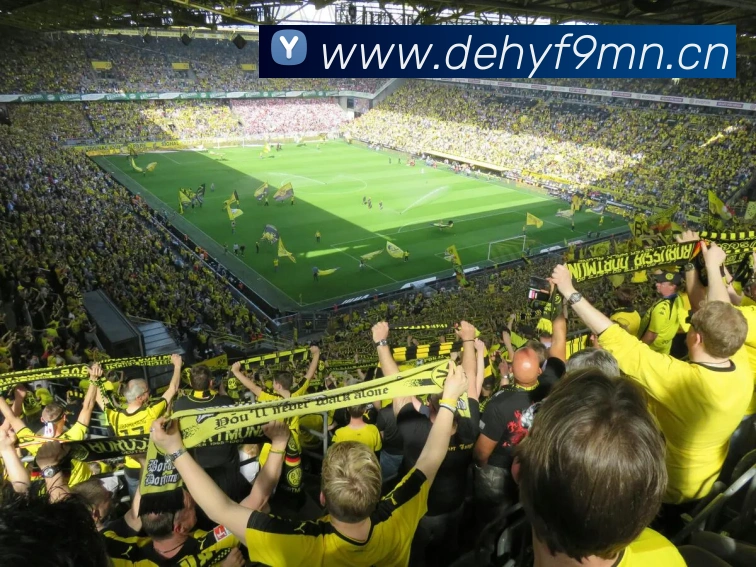 开云app官方入口网站平台生态图