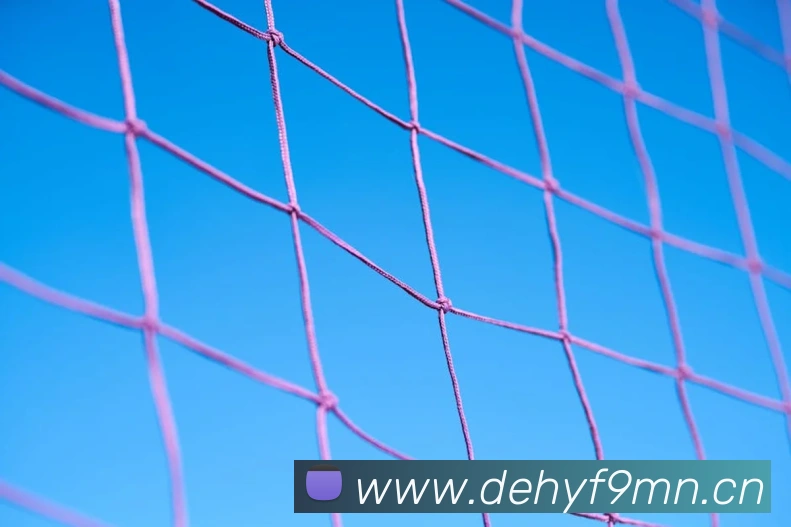 数据防护可视化